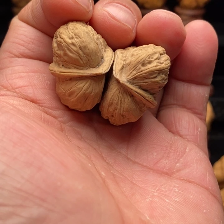 文玩核桃把件蝴蝶半壁