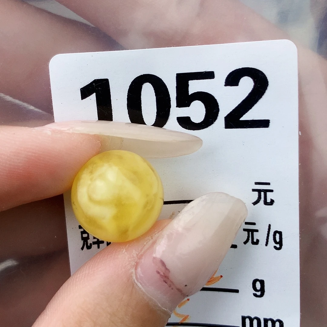 琥珀未镶嵌珠宝奇石14.6植物