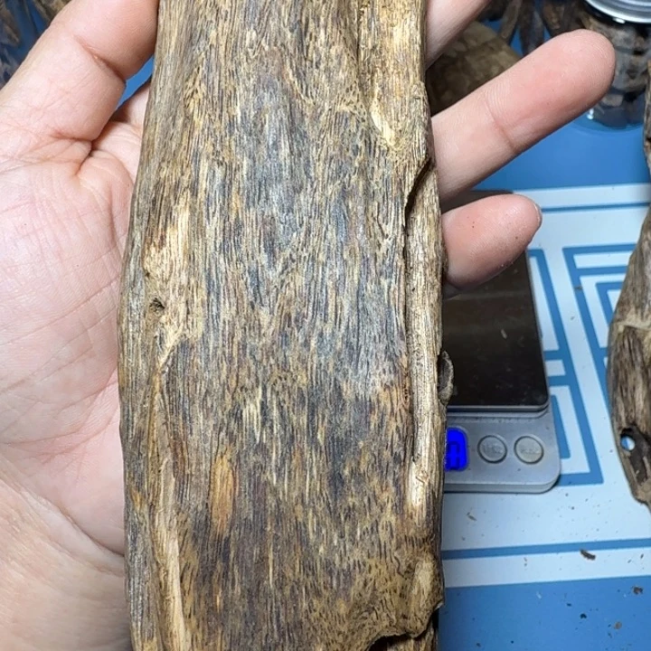 茹***夏白奇金沙叶虫漏154克