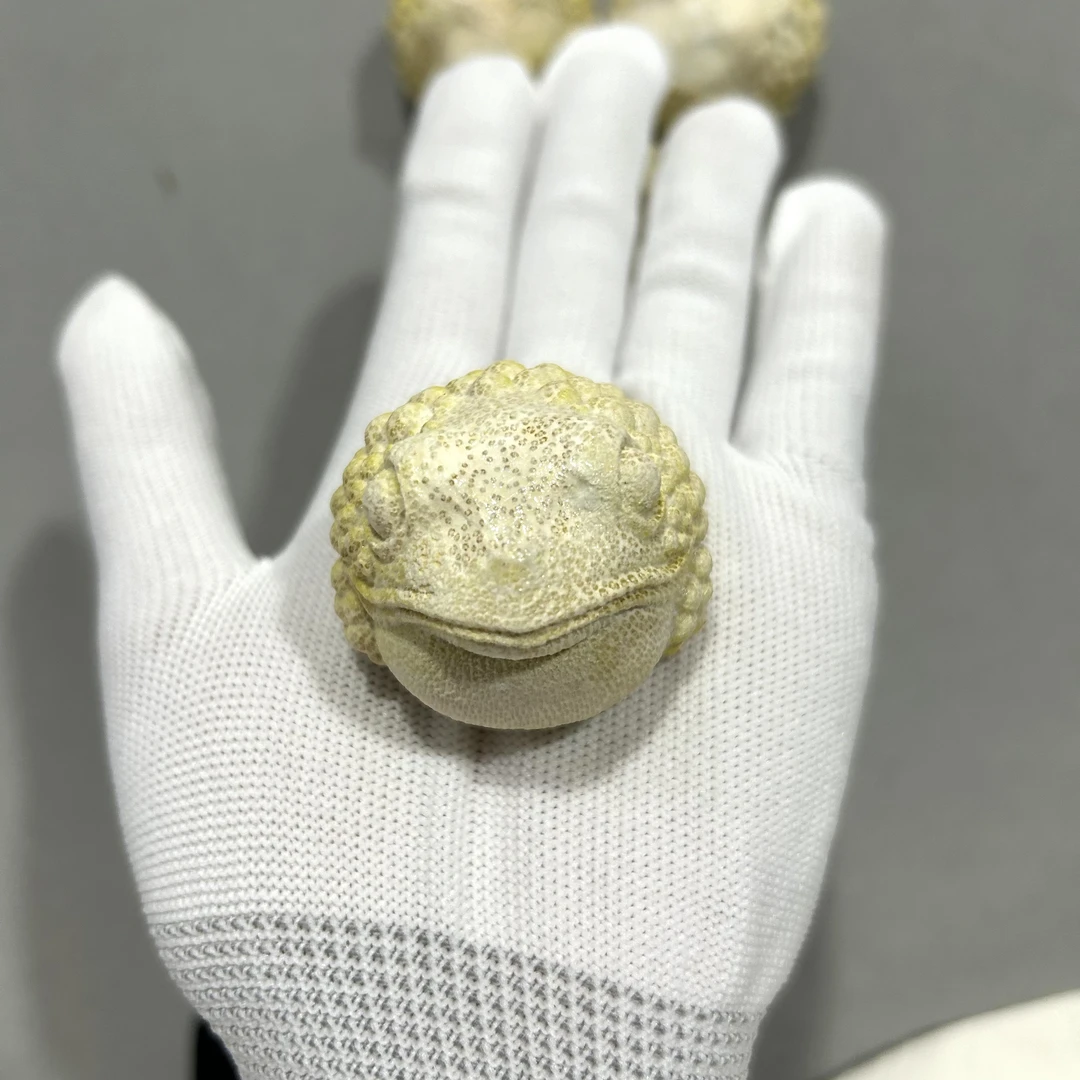 A354 实心竹龙血金丝竹 金蟾雕刻手把件 多样性发其一