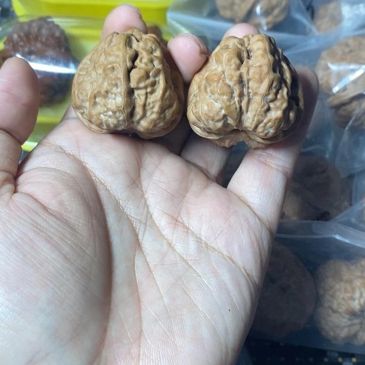 把件文玩核桃蛤蟆38全
