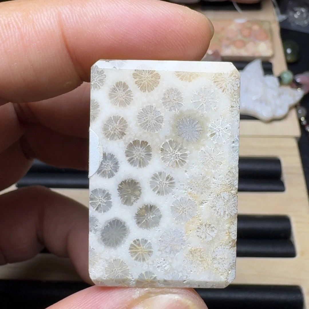 未镶嵌纯天然色有机玉石保真色硅化玉