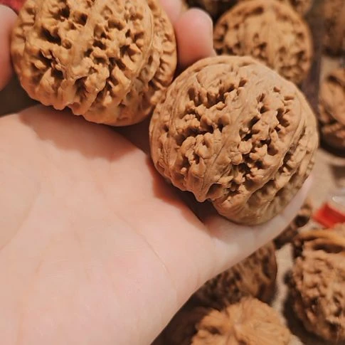 文玩核桃吊坠48粗筋