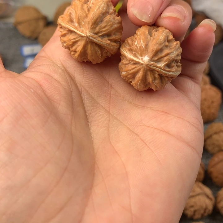 顺**然八棱。