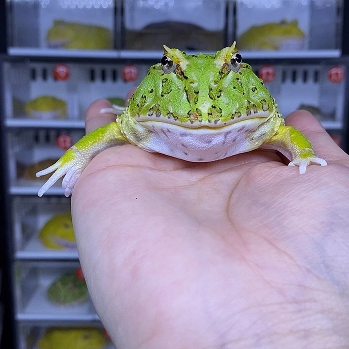 特价秒杀活动地址瑕疵