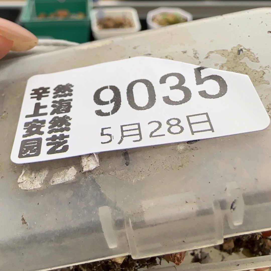 爱***猫5.28。最好安贞。9035