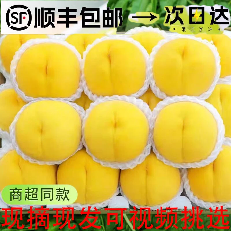 自家种植锦绣黄桃新鲜水果顺丰包邮江苏南通脆甜多汁自家种植现摘