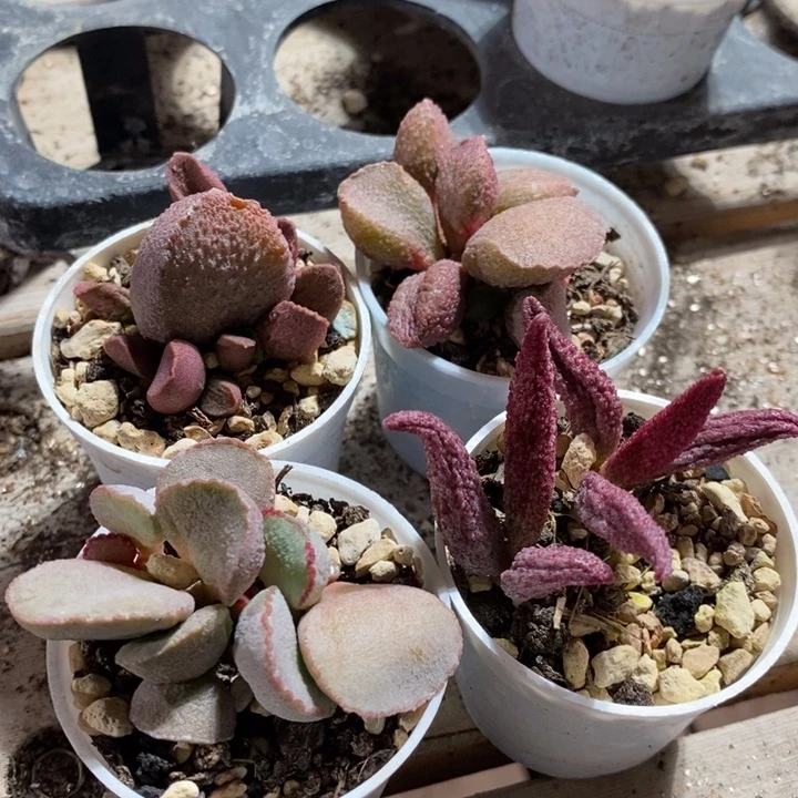 13288一组一组一组