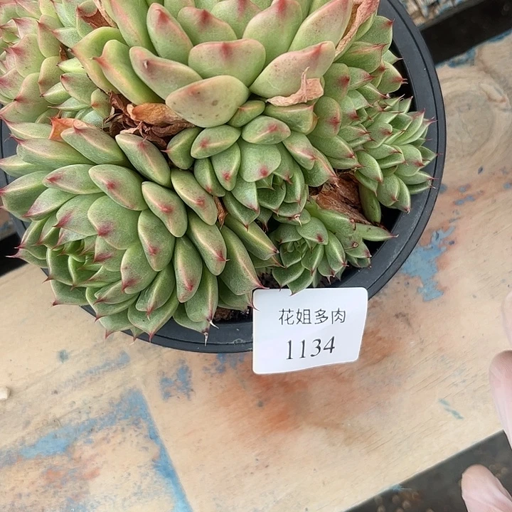 清***馆1134一颗微瑕疵888888