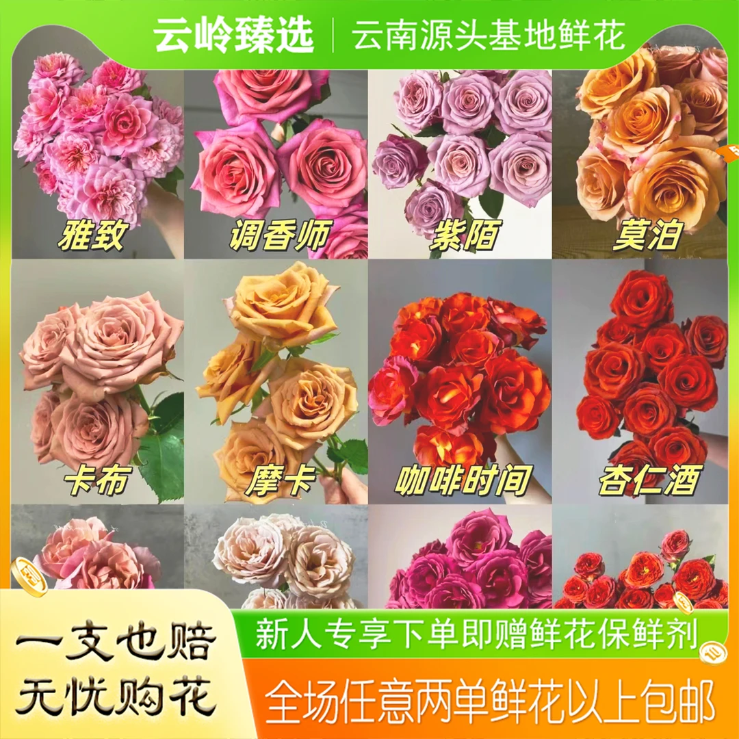 玫瑰多头玫瑰配草【阿晶专属】