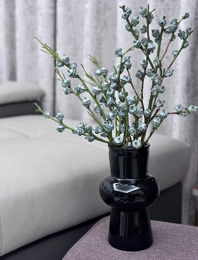 云南新鲜采摘尤加利果可做干花有驱蚊驱虫作用