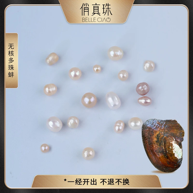 【俏真珠】紫金多珠蚌（不圆无核珍珠，保10颗）