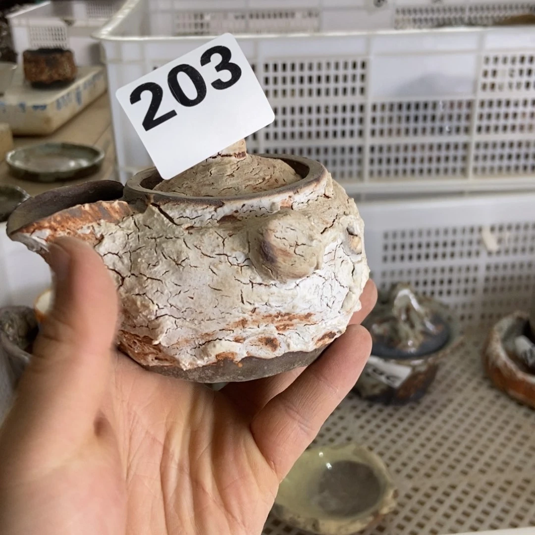 203 一家茶器直播分享