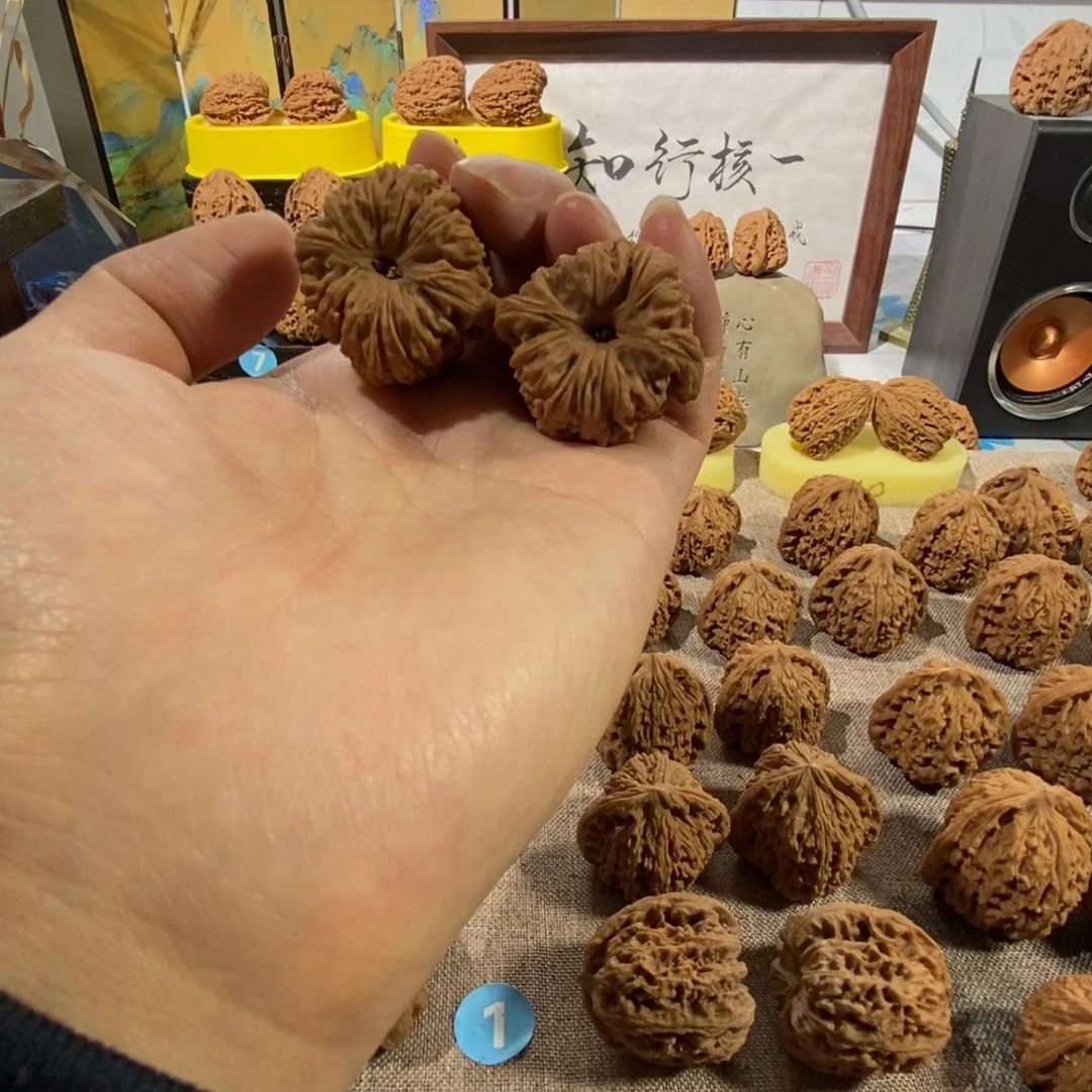 吊坠文玩核桃奥迪拉丝的一个