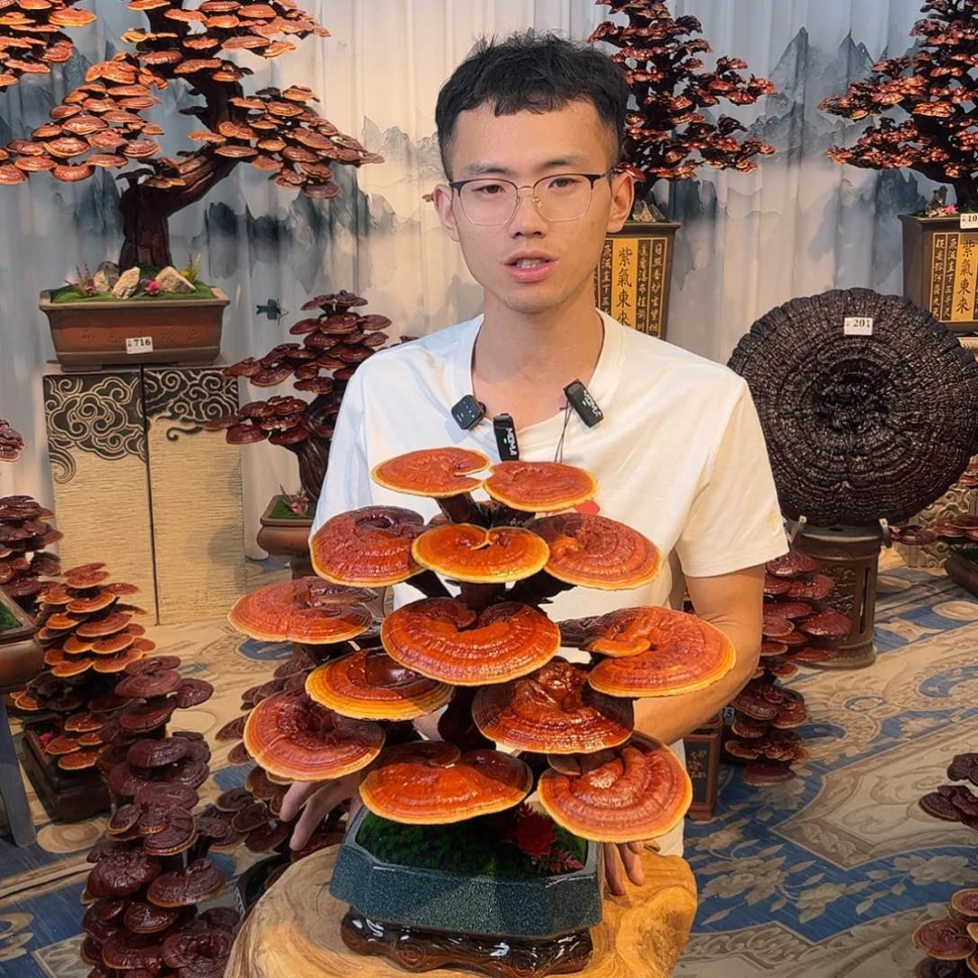 无花朵8888888888888