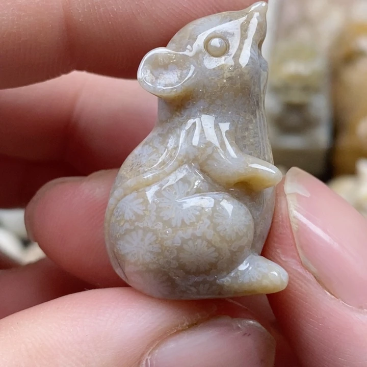 颈饰未镶嵌硅化珊瑚（珊瑚玉）