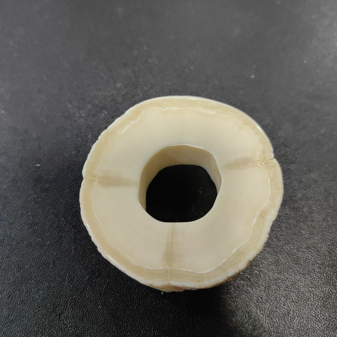 猛犸猛犸独饼子 WT124