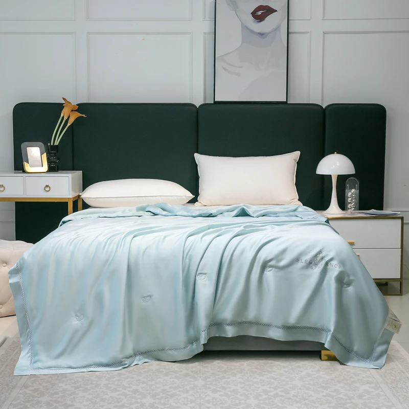 100%有机蚕丝夏凉被兰精天丝可水洗空调被