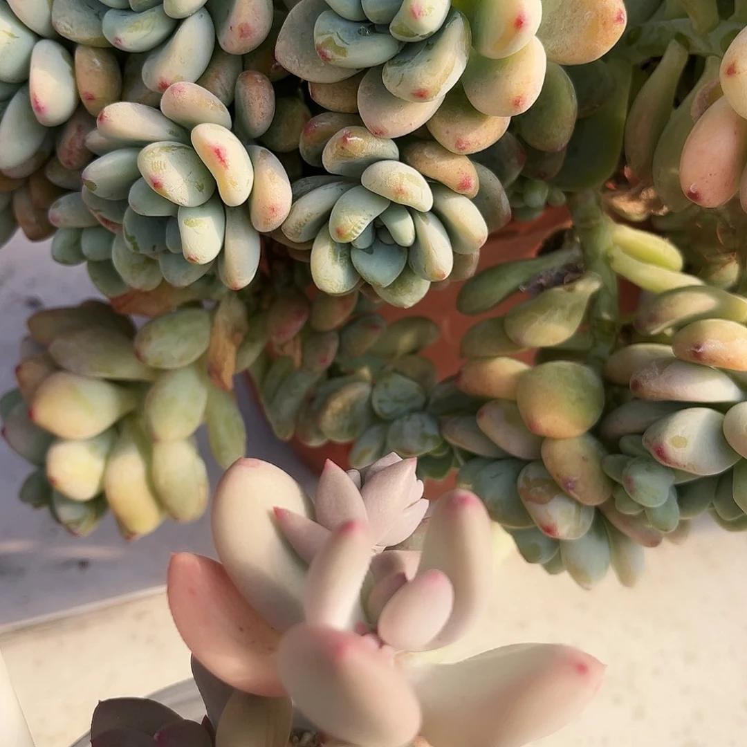 L****⋆216哈哈哈哈哈哈哈