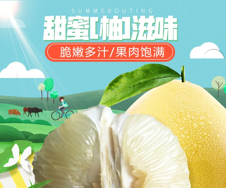 湖南怀化安江雪峰冰糖柚 约1斤