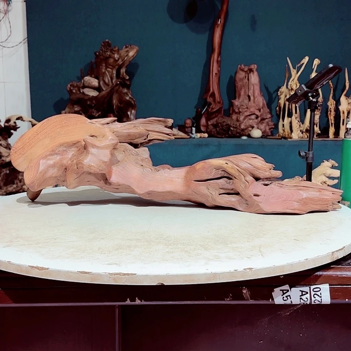 黑果木福*197金丝红木羊蹄甲成品摆件不能退特价