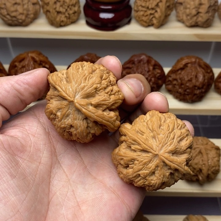 把件核桃45尺全品大粗筋