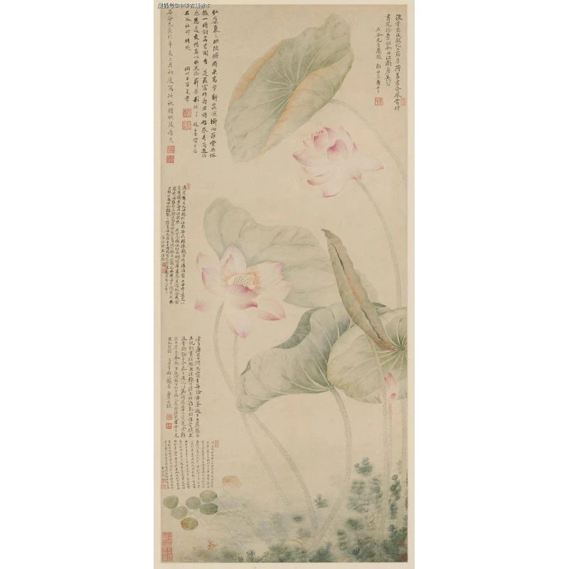 [高清复刻]清·恽寿平·《红莲绿藻》馆藏级艺术微喷工艺装饰画