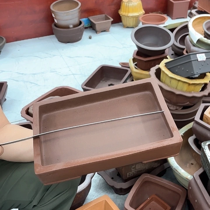 紫砂花盆紫砂的花也太