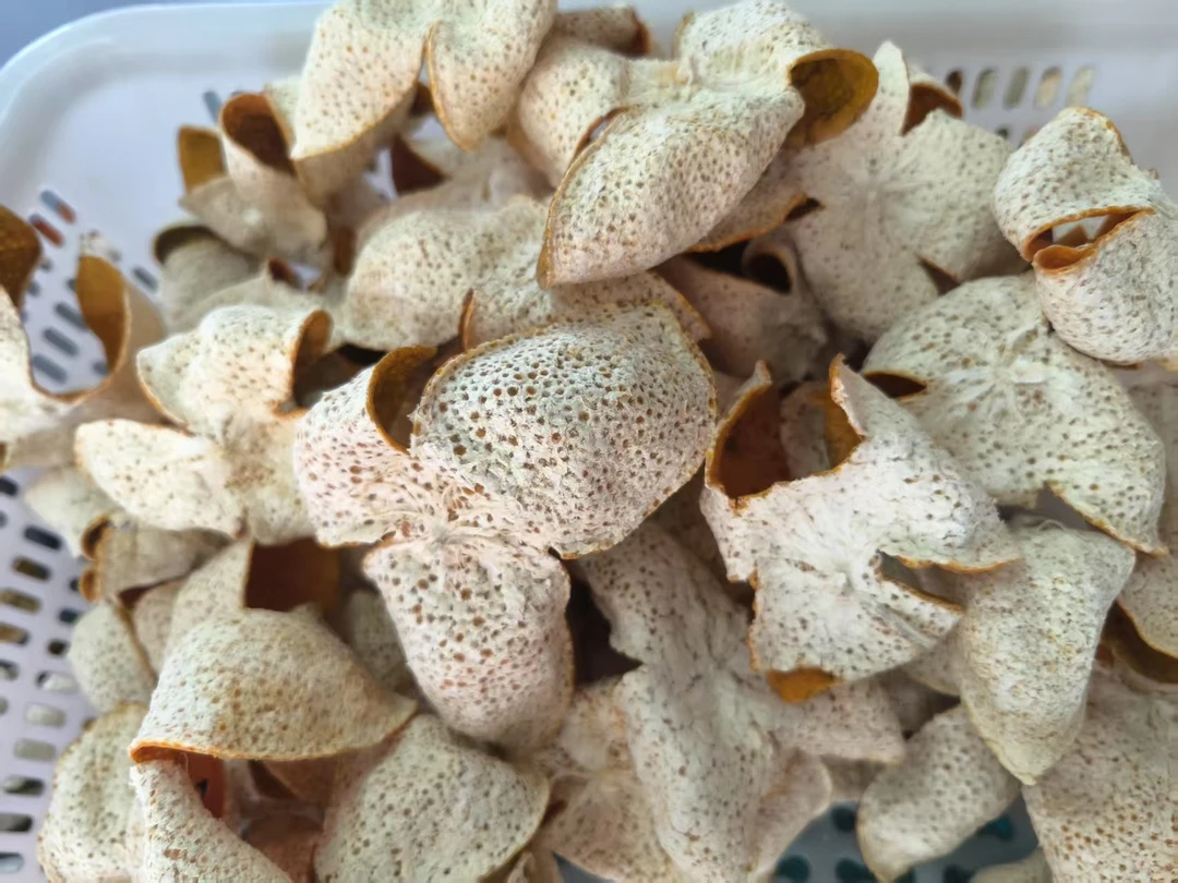 梅江【塞口围】精选原枝老树冬后大红皮2024新会梅江大红（油皮）