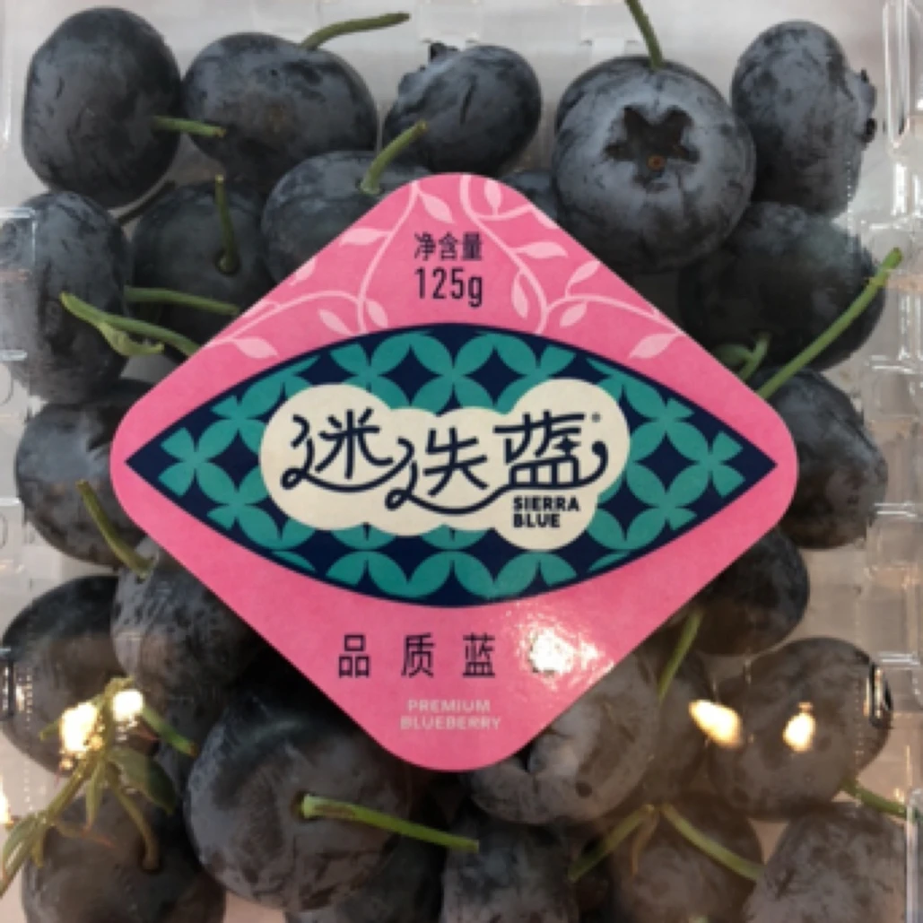 迷迭蓝品质蓝莓125g左右蓝莓同城送