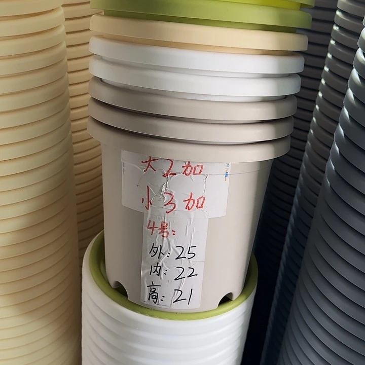 四季4#口径25果绿5个无托