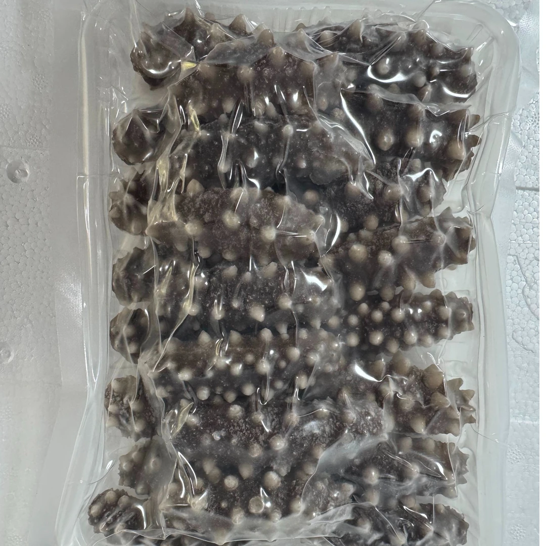 【熟】即食海参辽参（大连金石滩深水纯野生）