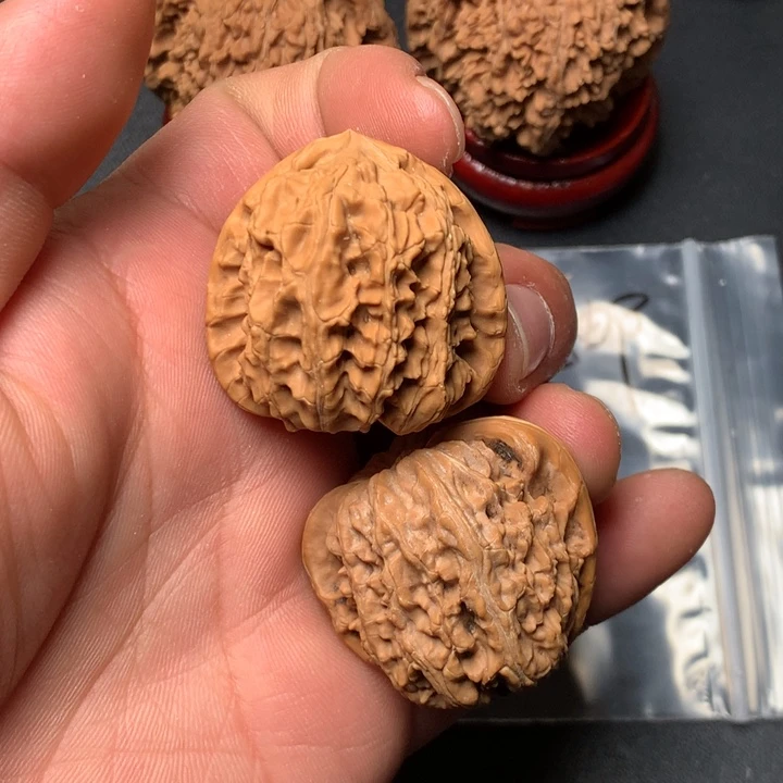 把件文玩核桃36白狮子1194