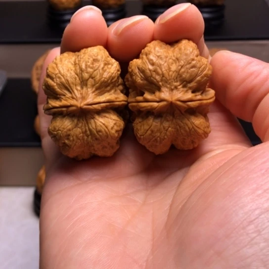 文玩核桃把件霸王龙脊20