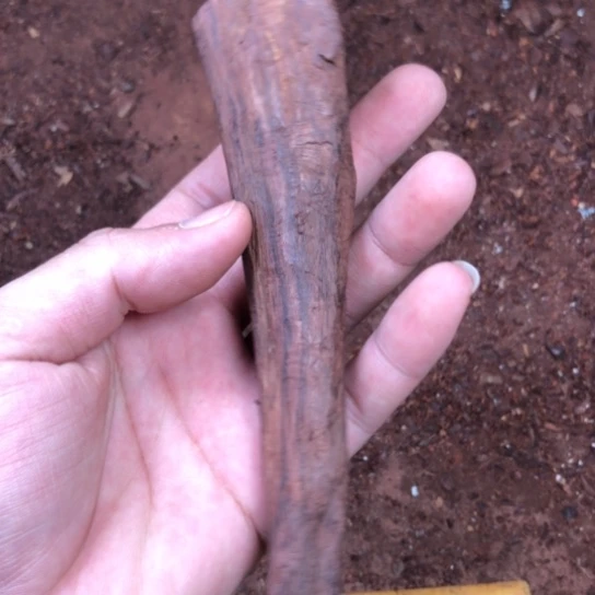 黄花梨/降香黄檀手串/手链竞拍品，不退不换