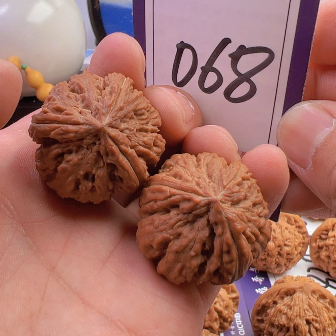 文玩核桃把件全品霸王龙三棱34尺寸068号