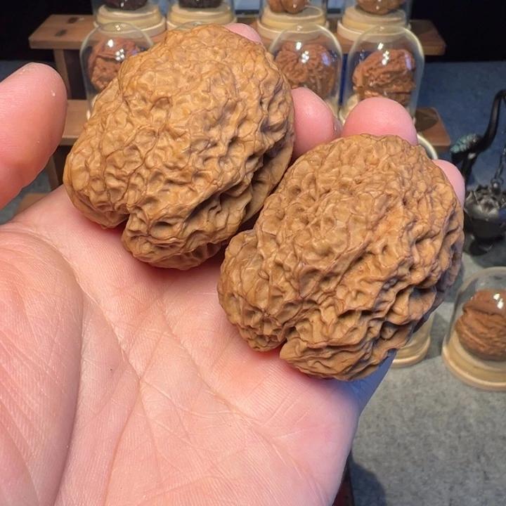 文玩核桃把件霸王滚龙蟾46mm