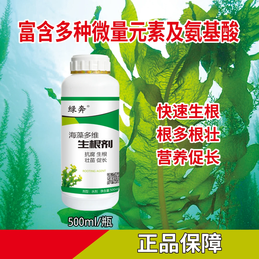 【丰赞2】海藻生根剂果树蔬菜小麦油菜花卉生根粉叶面肥