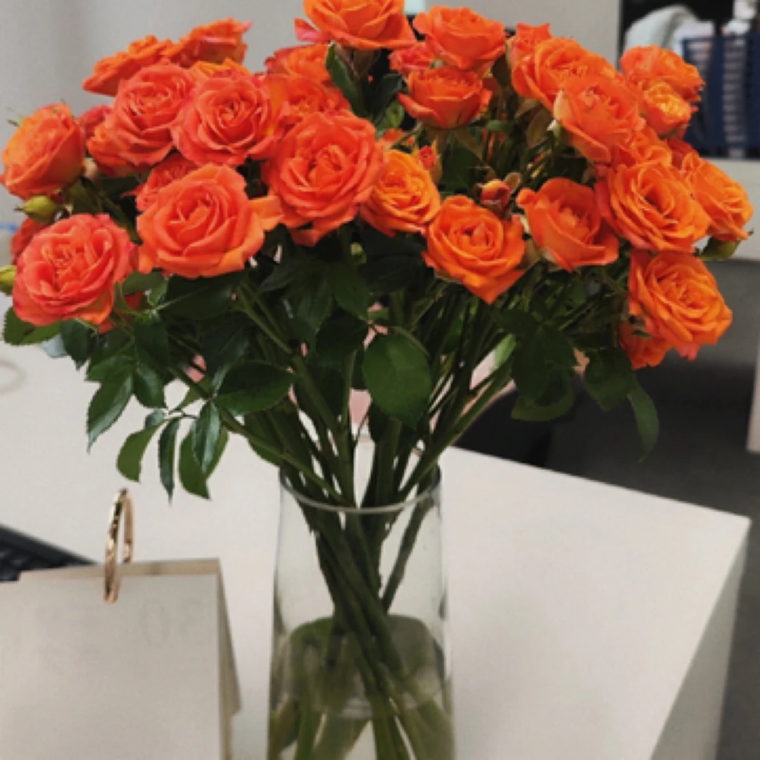 【橙色芭比】10支一扎超仙瓶插花家庭鲜花