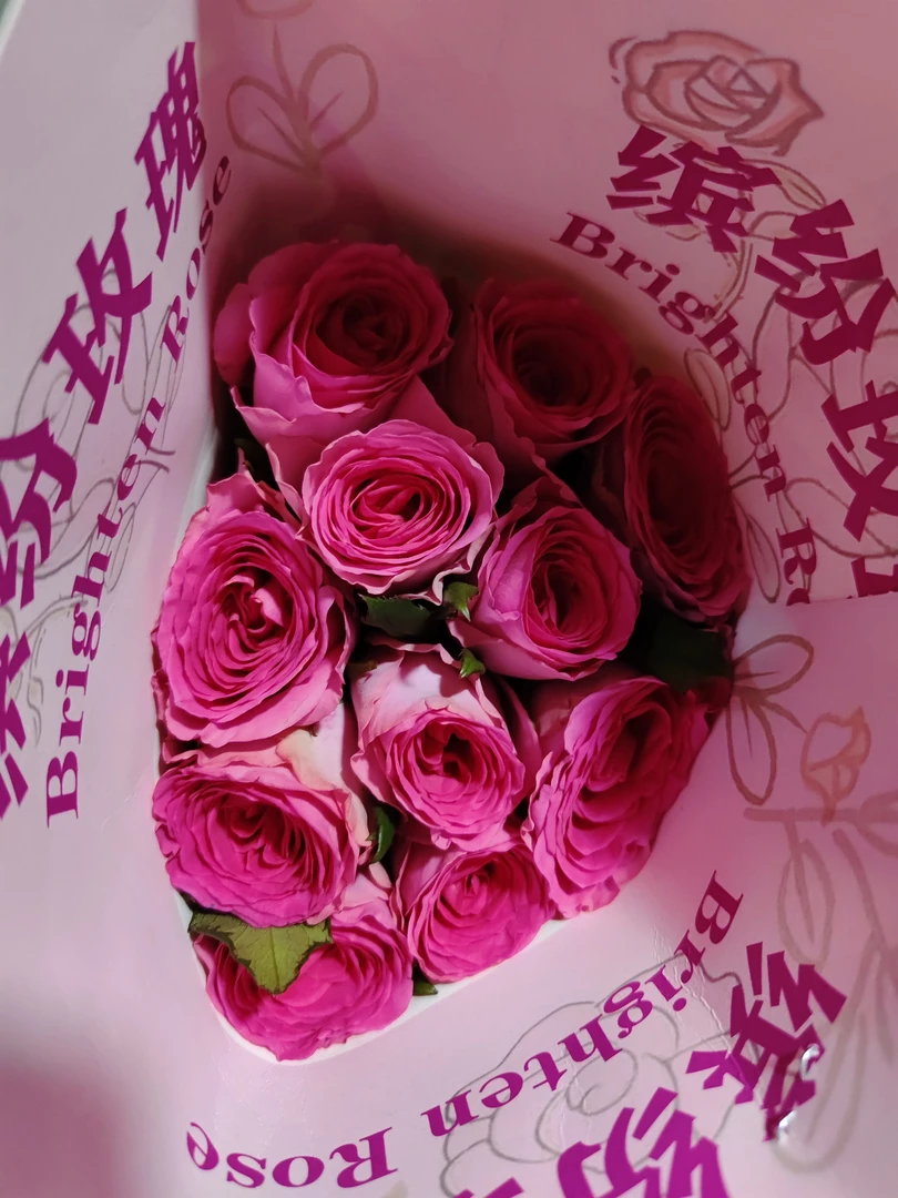 两单包邮！单头【花影】玫瑰花