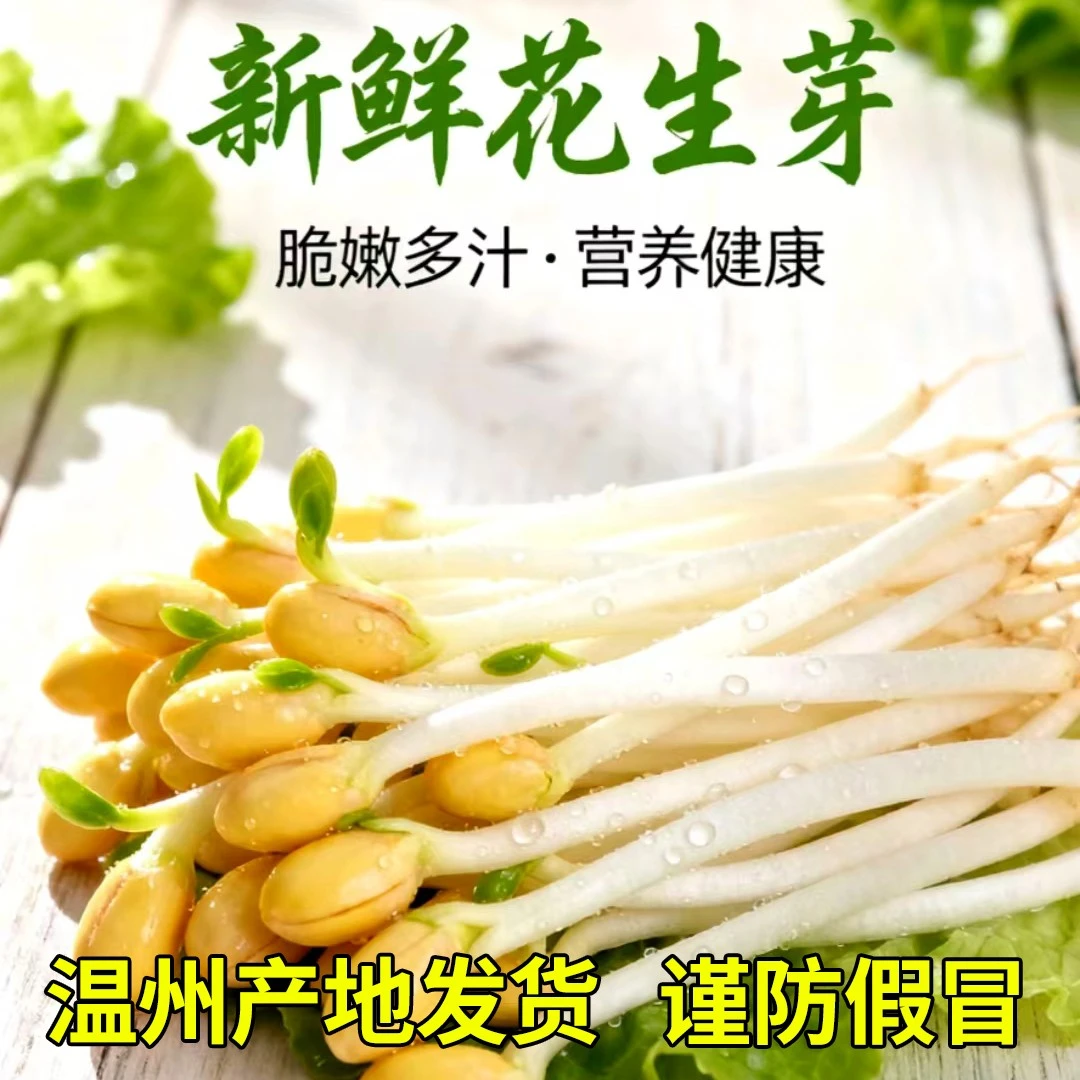 纤萌温州产新鲜现采花生芽脆嫩可口可凉拌可火锅的营养蔬菜