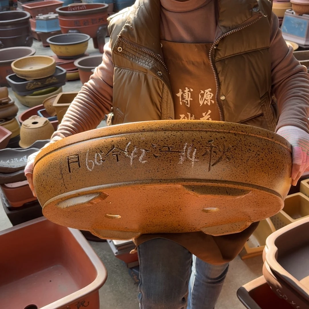 花盆紫砂盆景艺术