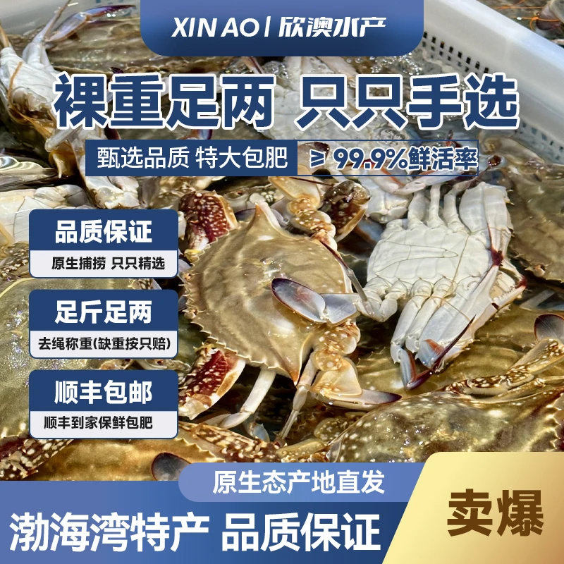 【保鲜不保活】渤海湾本地海蟹 3斤 3/5两/只 不包爪全！现货现发