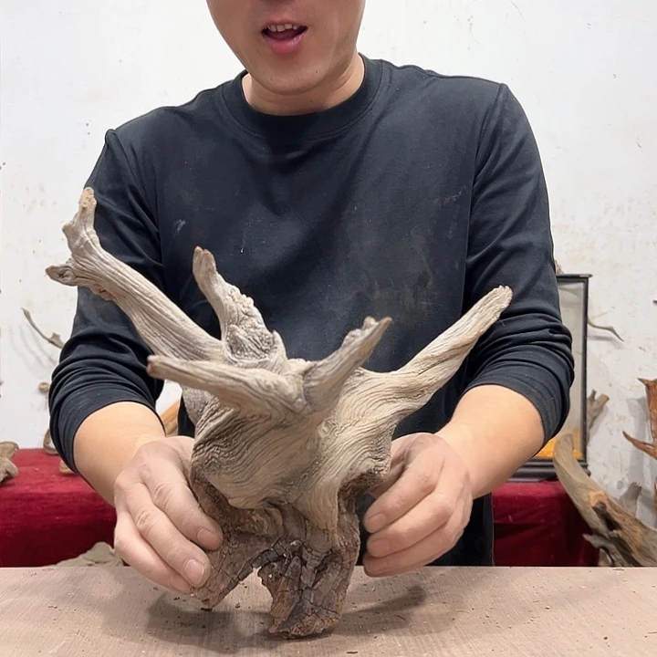 柏木无**…我们都是好孩子呀我