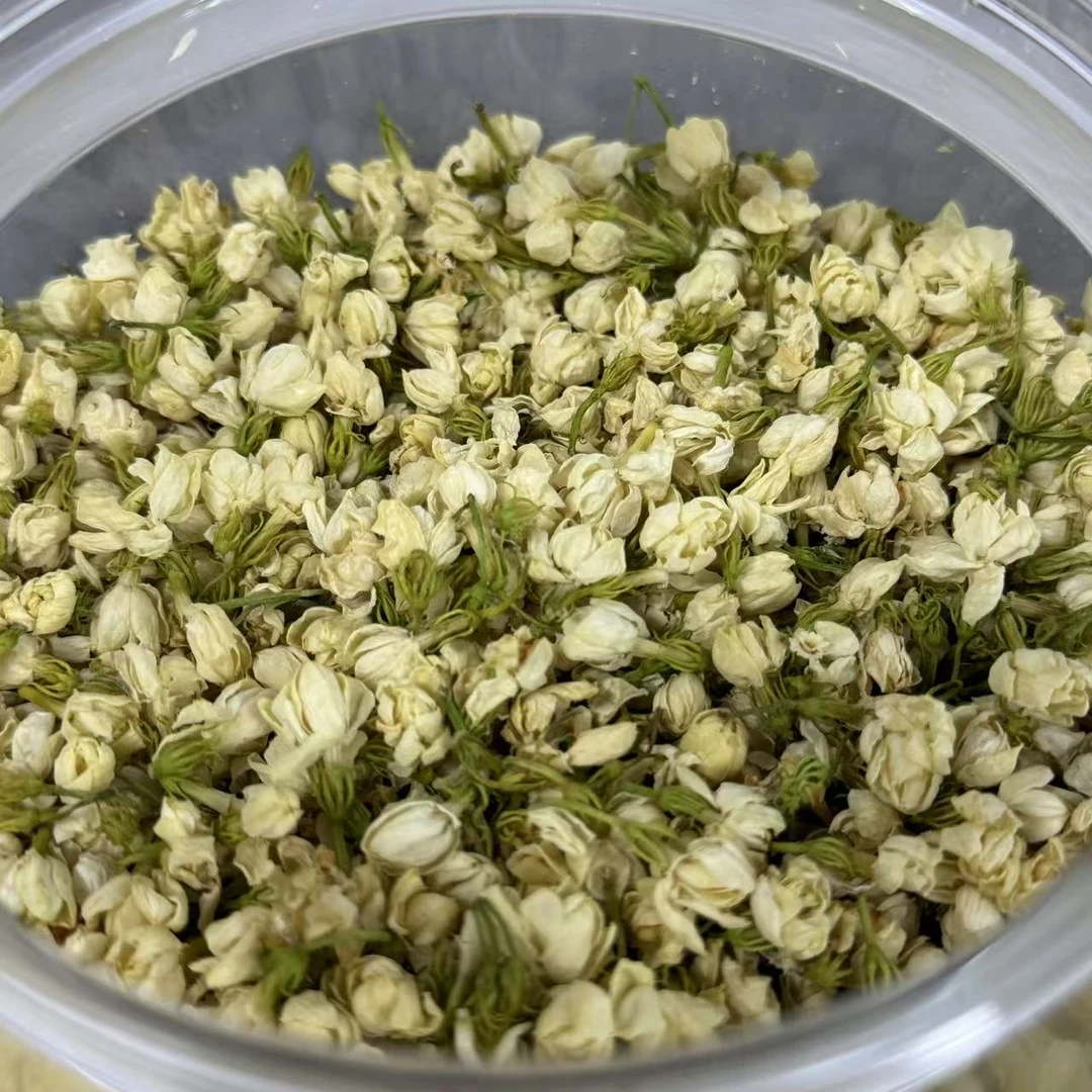 培辉堂精选 茉莉花 半开