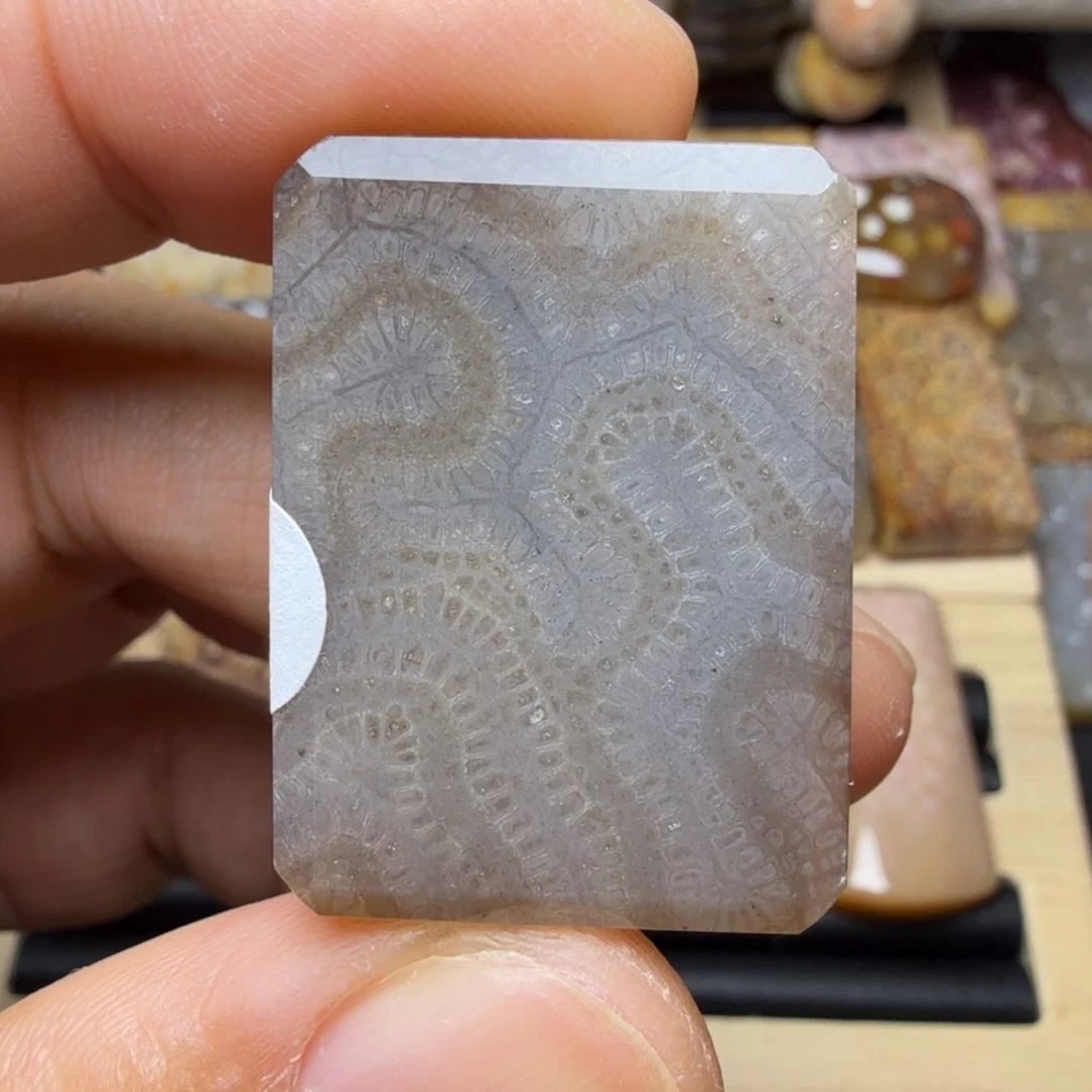 硅化玉未镶嵌纯天然色有机玉石保真色