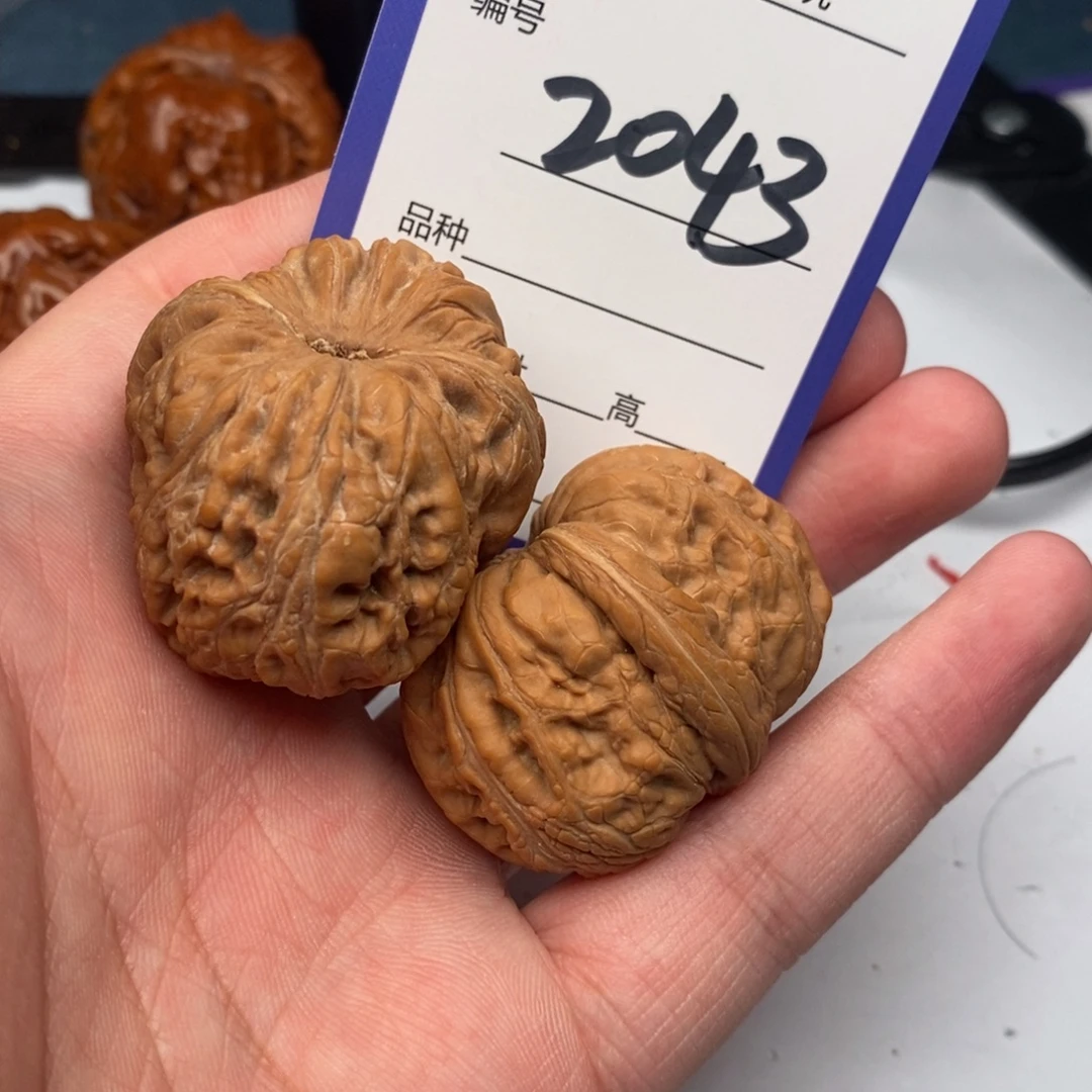 文玩核桃把件2043