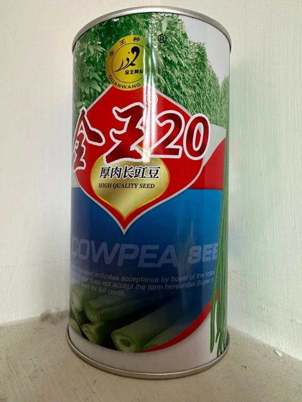 全王20 翠绿色 条长 不鼔籽 无鼠尾 早春 秋播 海南冬播