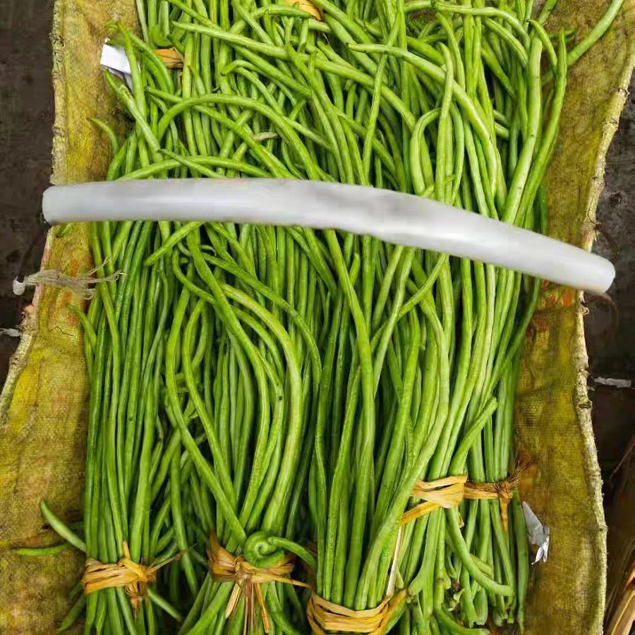 现摘新鲜嫩豇豆农家自种长豆角当季可腌制酸豆角