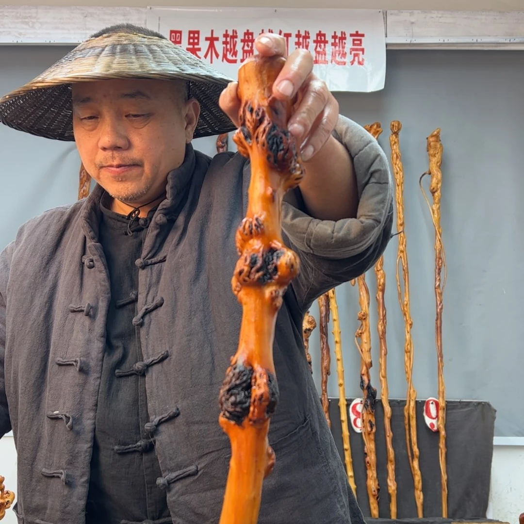 黑果木其他明*仔黑果木532